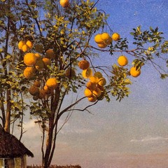 Fruit Punch - Morgen b2b mattmosphere @Beate Uwe