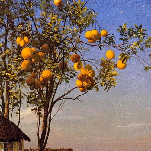 Fruit Punch - Morgen b2b mattmosphere @Beate Uwe