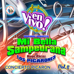 Minipicaronas de Marimba Pura: El Valle de la Ermita / Tajumulco Querido (En Vivo)