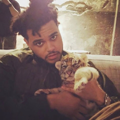 Yesterday - The weeknd intro loop
