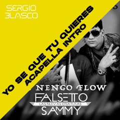Yo Se Que Tu Quieres - Sammy & Falsetto Ft. Ñengo Flow (Sergio Blasco Acapella Intro 94BPM)