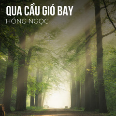 Qua Cầu Gió Bay (Remix)