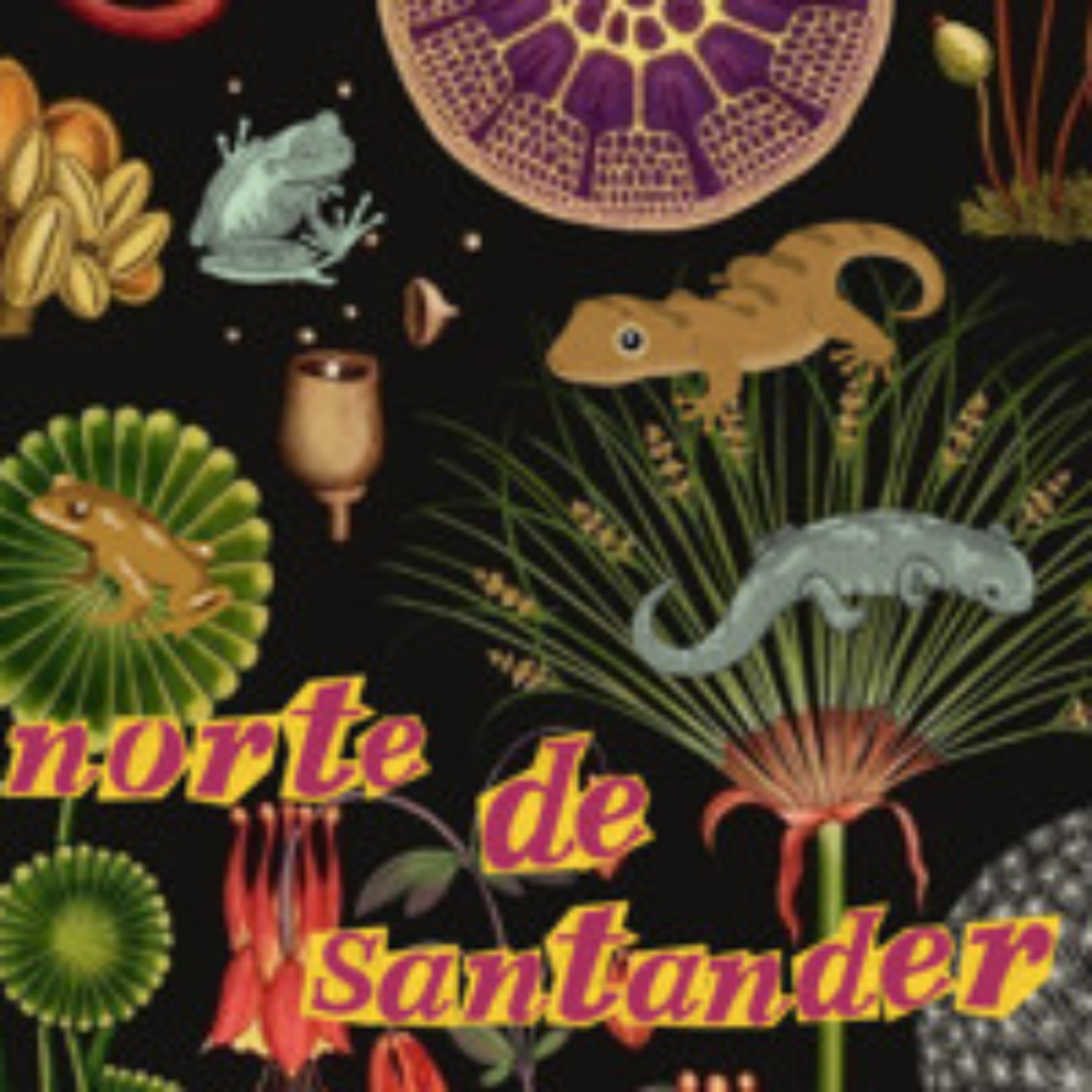 Paisajes Sonoros Archivo de Prensa - Norte de Santander episode artwork