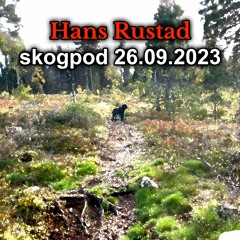 Skogpod 26. september 2023