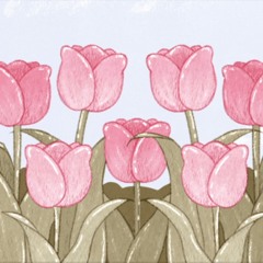 Tulip in the Wind