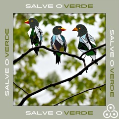 Salve O Verde - Quarteto Em Cy (RDXDS remix)