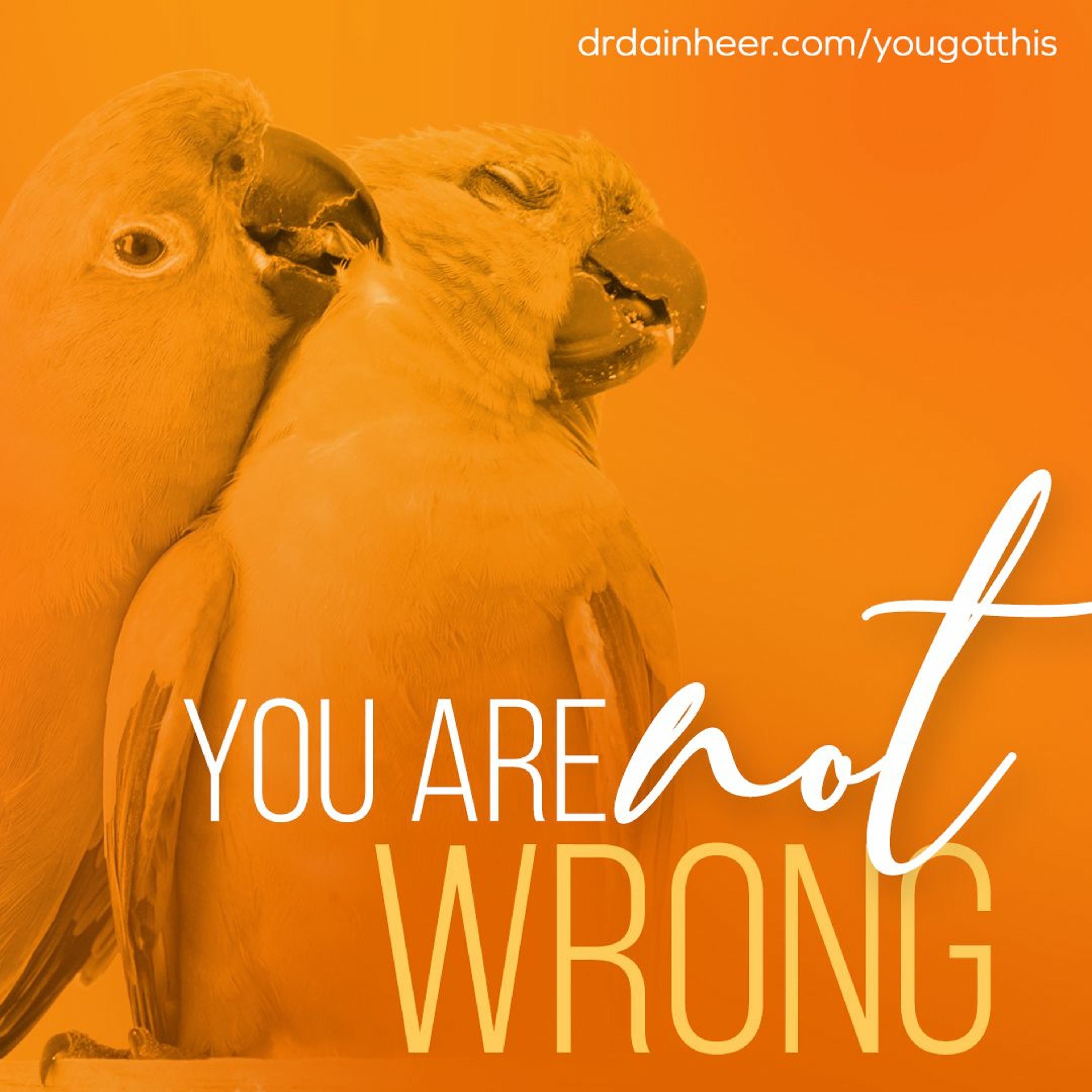 You Got This: You Are Not Wrong episode artwork