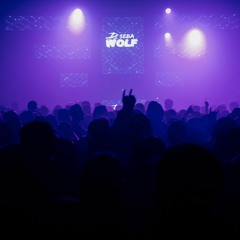 DJ SEBA WOLF PREVIA 2023