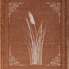 Le roseau