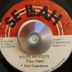 T Bird Experience – Roots In Roots