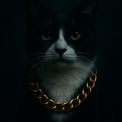 Wolf Gang Gartner - Space Junk Edit