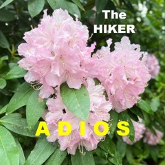 Adios