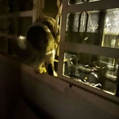 i might finallly be starting to feel comfortable in my own skin