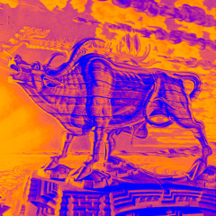 Acula Bull_ preview