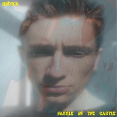 hassle in the castle (demo)