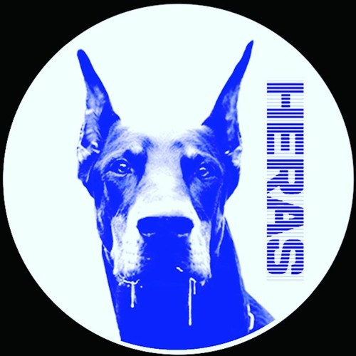 HERAS001 A1 NLandstrumm Doberman PM