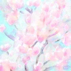 A Colonnade of Cherry Blossoms