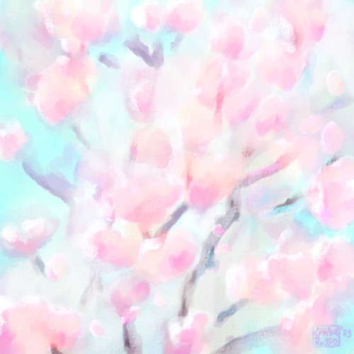 A Colonnade of Cherry Blossoms
