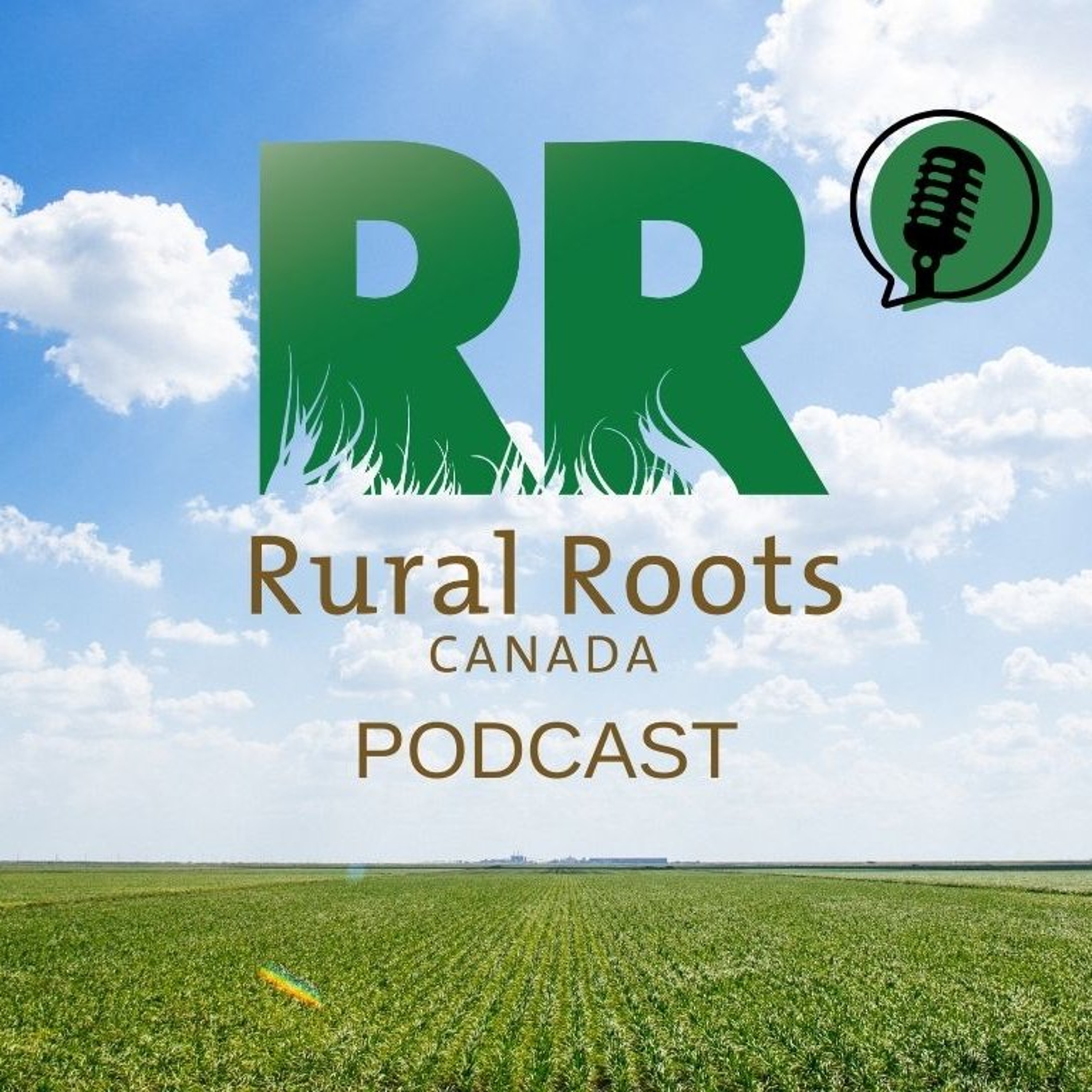 RRC Podcast S2E24 - Weather, Faba Beans, and Angus Beef episode artwork