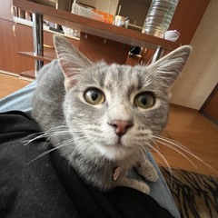 Добро и позитив