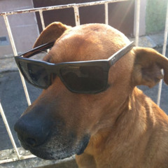 farofabeat