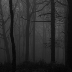 INTO THE MIST "free download"