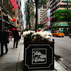 Saks Fifth V2 Ft. No Money Shadow