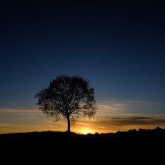 Jamming on Emraan Hashmi Songs