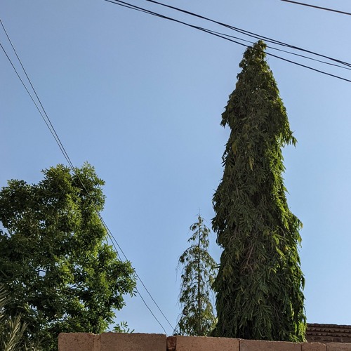 {بل يداه مبسوطتان} من سورة التوبة بصوت فيصل الهاجري