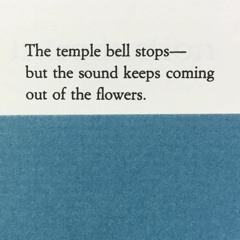 Sınırlama, tanımlama ve anladığımızı sandığımız şeyler | Deneme