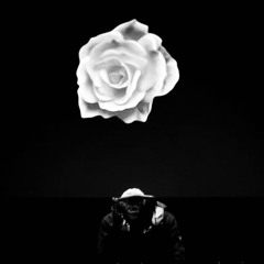 DAMASK ROSE: Actress [DJSet] at Circulo de Bellas Artes (Madrid2022)