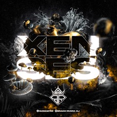 XENSES - MIXED BY BR