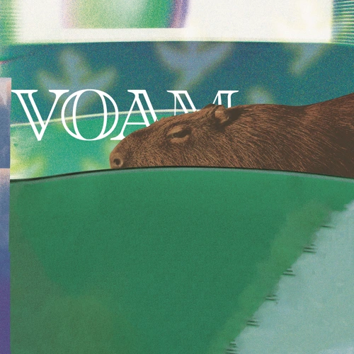Artwork for the song Verraco - Escándaloo by Voam on Next Sound