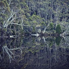 Lake Echo