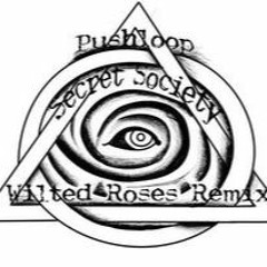 Pushloop - Secret Society (WiltedRoses Remix)