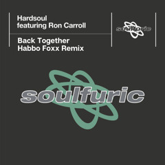 Back Together [Habbo Foxx Remix]