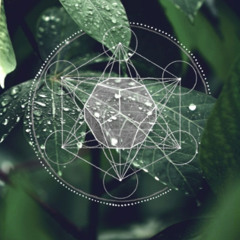 the samahdi ( final stage of perception )