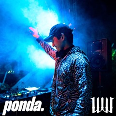 Live @ Wicked Woods Music Festival 2024