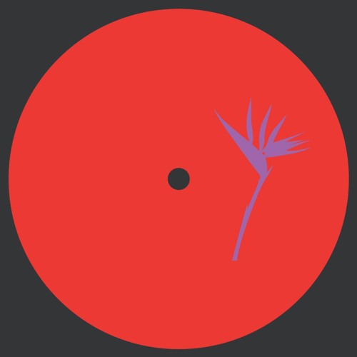PREMIERE: RWN - Vortex (Dragutesku Remix) [Purple Print]
