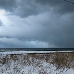 melancholic gray 20241119(melancholisches Grau)