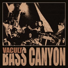 Vacult @ Bass Canyon 2024 | Silent Disco