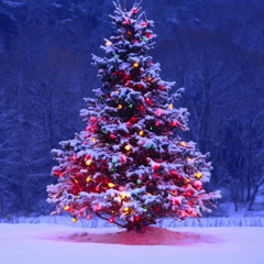 Brenda Lee - Rocking Around The Christmas Tree (Benzoo Remix)