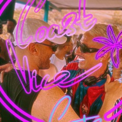 THE MANTEKAZ BROTHERS - BIENVENIDOS A COAST VICE