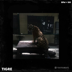 TIGRE | Ashe22 x 34murphy x La Mano 1.9 Type Beat (Toutou & ‪@FanchBeats‬ )