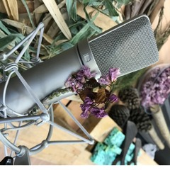 Musica Povera - 3 (percussion and electronics)