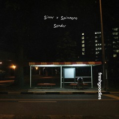 Sinnr & Spinmont - Sonder