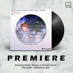 PREMIERE: Meeting Molly, Mango & Phonic Youth - Iceland (Original Mix) [MEANWHILE HORIZONS]