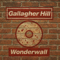 WONDERWALL feat Rob Summerfield