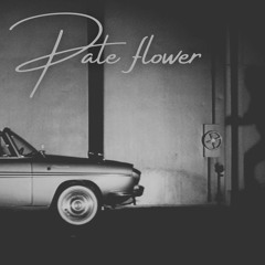 Pale Flower (Clubbed to Death Piano Cover)