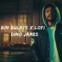 BIN BULAYE X LOFI - Dino James | DrumHardZProductions